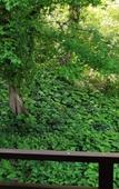 Туры в отель Tuta Туры в отель Tuta