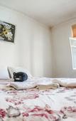 Туры в отель Корюшка пошла Туры в отель Корюшка пошла
