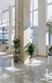 Туры в отель Zenith Resort Hotel & Spa Туры в отель Zenith Resort Hotel & Spa