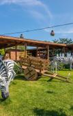 Туры в отель Avsar Hotel Туры в отель Avsar Hotel