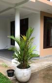 Туры в отель Kumara Guest House & Apartment Туры в отель Kumara Guest House & Apartment