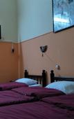 Туры в отель New Palace Hotel Туры в отель New Palace Hotel