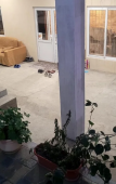 Туры в отель У Дарьи (Вардане) Туры в отель У Дарьи (Вардане)