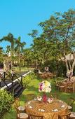 Туры в отель Wyndham Alltra Punta Cana Туры в отель Wyndham Alltra Punta Cana