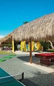 Туры в отель Wyndham Alltra Punta Cana Туры в отель Wyndham Alltra Punta Cana