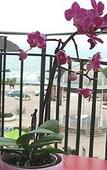 Туры в отель Florida Туры в отель Florida