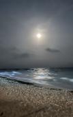 Туры в отель Aluna Beach Apartments Туры в отель Aluna Beach Apartments