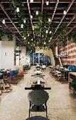 Туры в отель Hyatt Vivid Grand Island Туры в отель Hyatt Vivid Grand Island