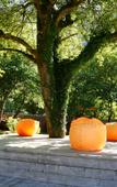 Туры в отель Boutique Hotel Fazenda Туры в отель Boutique Hotel Fazenda
