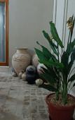 Туры в отель Hotel Ansi Boutique W&S terrace Туры в отель Hotel Ansi Boutique W&S terrace