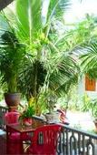 Туры в отель Minh Anh Garden Hotel Туры в отель Minh Anh Garden Hotel