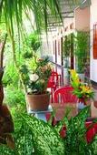 Туры в отель Minh Anh Garden Hotel Туры в отель Minh Anh Garden Hotel