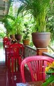 Туры в отель Minh Anh Garden Hotel Туры в отель Minh Anh Garden Hotel