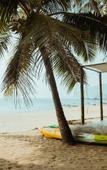 Туры в отель SONECA BEACH RESORT- COLA BEACH Туры в отель SONECA BEACH RESORT- COLA BEACH
