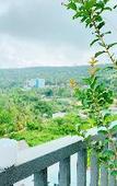 Туры в отель Rosetta Hotel Phu Quoc Туры в отель Rosetta Hotel Phu Quoc