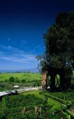 Туры в отель Fonteverde Tuscan Resort & Spa Туры в отель Fonteverde Tuscan Resort & Spa