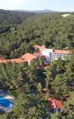 Туры в отель Forest Park Hotel Туры в отель Forest Park Hotel