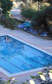 Туры в отель Forest Park Hotel Туры в отель Forest Park Hotel
