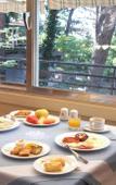 Туры в отель Forest Park Hotel Туры в отель Forest Park Hotel