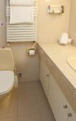 Туры в отель Forest Park Hotel Туры в отель Forest Park Hotel