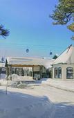 Туры в отель Forest Suites Resort Туры в отель Forest Suites Resort