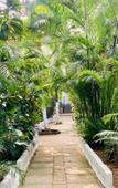 Туры в отель Nasyas Beachside Cottage Туры в отель Nasyas Beachside Cottage