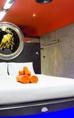 Туры в отель Nicky's Handlebar Hotel Туры в отель Nicky's Handlebar Hotel