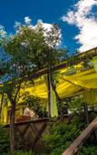 Туры в отель Foresta Festival Park Туры в отель Foresta Festival Park