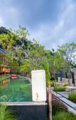 Туры в отель The Woods Natural Park Resort Phuket Туры в отель The Woods Natural Park Resort Phuket