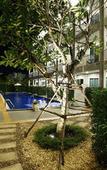Туры в отель The Malika Hotel Туры в отель The Malika Hotel
