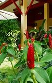 Туры в отель Le Piman Resort Туры в отель Le Piman Resort