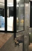 Туры в отель My Style Resort Hotel Туры в отель My Style Resort Hotel