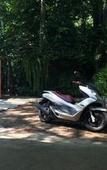 Туры в отель Fern House Retreat Туры в отель Fern House Retreat