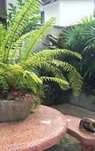 Туры в отель Fern House Retreat Туры в отель Fern House Retreat