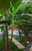 Туры в отель White Tree Resort Туры в отель White Tree Resort