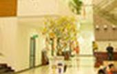 Туры в отель Danang Han River Hotel Туры в отель Danang Han River Hotel