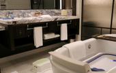 Туры в отель Shangri-La Qiantan Shanghai Туры в отель Shangri-La Qiantan Shanghai