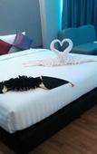 Туры в отель Top View Hotel Туры в отель Top View Hotel