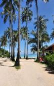 Туры в отель Phi Phi Ba Kao Bay Resort Туры в отель Phi Phi Ba Kao Bay Resort