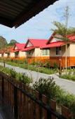 Туры в отель Phi Phi Ba Kao Bay Resort Туры в отель Phi Phi Ba Kao Bay Resort