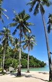 Туры в отель Phi Phi Ba Kao Bay Resort Туры в отель Phi Phi Ba Kao Bay Resort