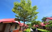 Туры в отель Phi Phi Ba Kao Bay Resort Туры в отель Phi Phi Ba Kao Bay Resort