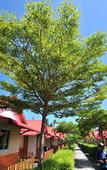Туры в отель Phi Phi Ba Kao Bay Resort Туры в отель Phi Phi Ba Kao Bay Resort