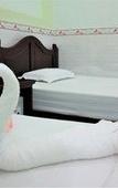 Туры в отель Quoc Dinh Guesthouse Туры в отель Quoc Dinh Guesthouse