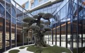 Туры в отель JW Marriott Shanghai Fengxian Туры в отель JW Marriott Shanghai Fengxian