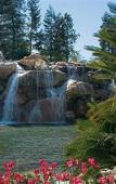Туры в отель Four Seasons Westlake Village Туры в отель Four Seasons Westlake Village