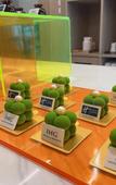Туры в отель Holiday Inn Express Shanghai Expo Centre Туры в отель Holiday Inn Express Shanghai Expo Centre