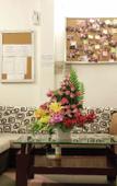 Туры в отель Sakura Hostel Saigon Туры в отель Sakura Hostel Saigon