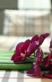 Туры в отель Sakura Hostel Saigon Туры в отель Sakura Hostel Saigon