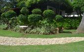 Туры в отель Cebu White Sands Resort and Spa Туры в отель Cebu White Sands Resort and Spa